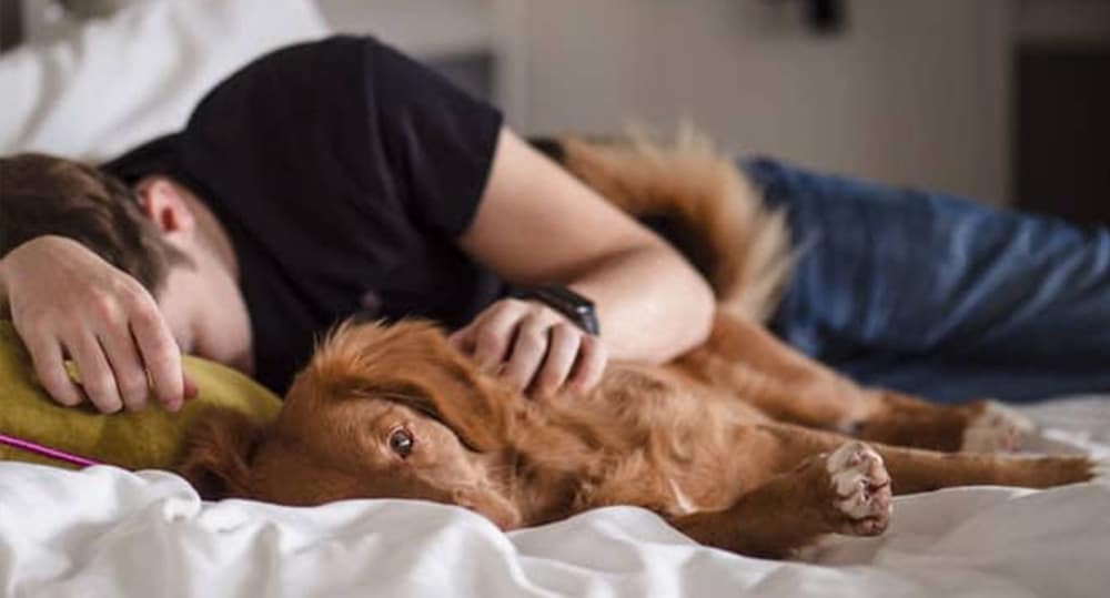 Man asleep in bed beside his dog