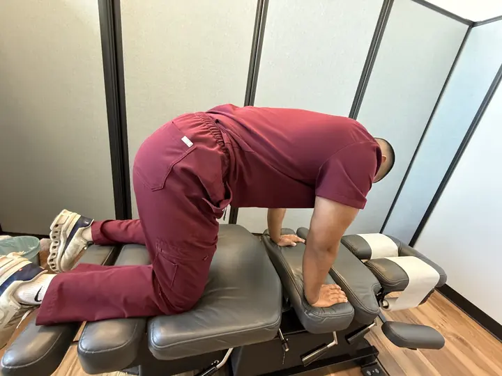 Bird-Dog: Start: hands under shoulders, knees under hips