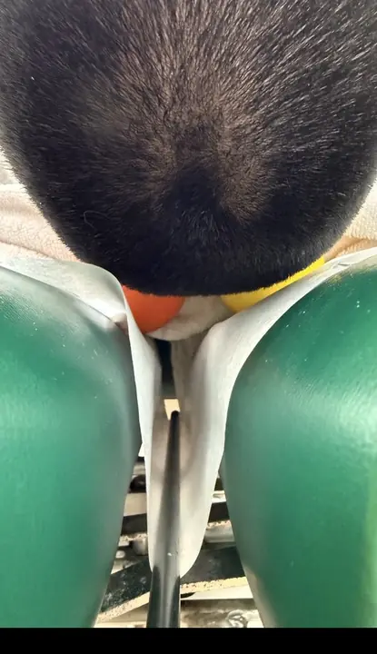 Skull Base Release: Top-down view: one ball on each side of the spine